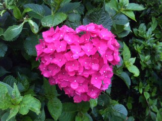 DVC00065_ed.jpg